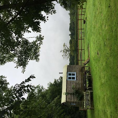 Mollies Hut Villa Frome Buitenkant foto