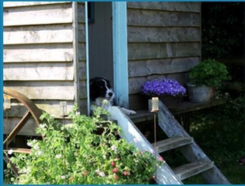Mollies Hut Villa Frome Kamer foto